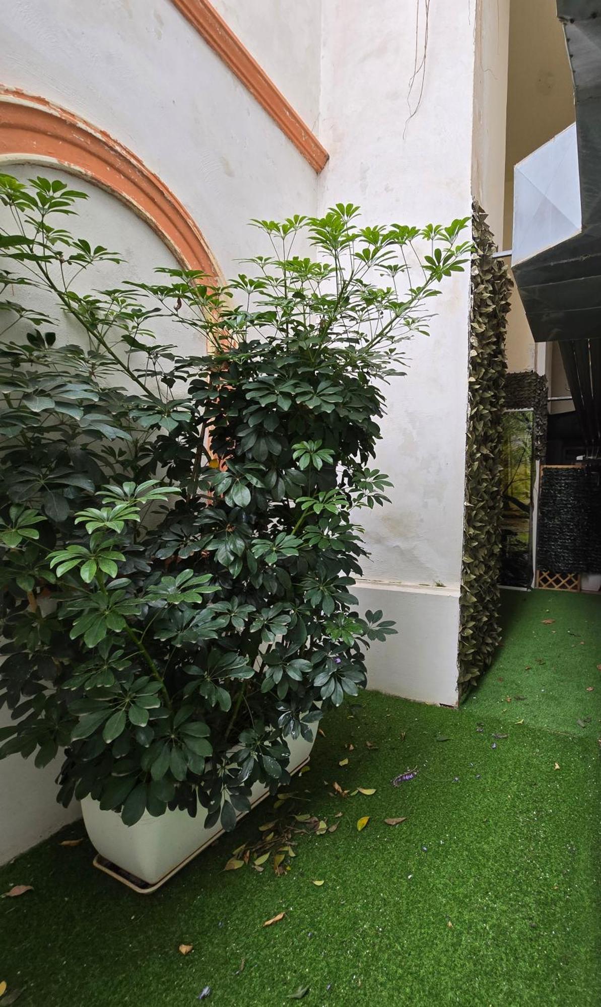 Hotel Il Nido Sorrento Esterno foto